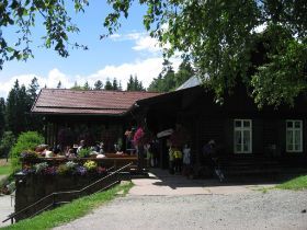Grünhütte am Kaltenbronn