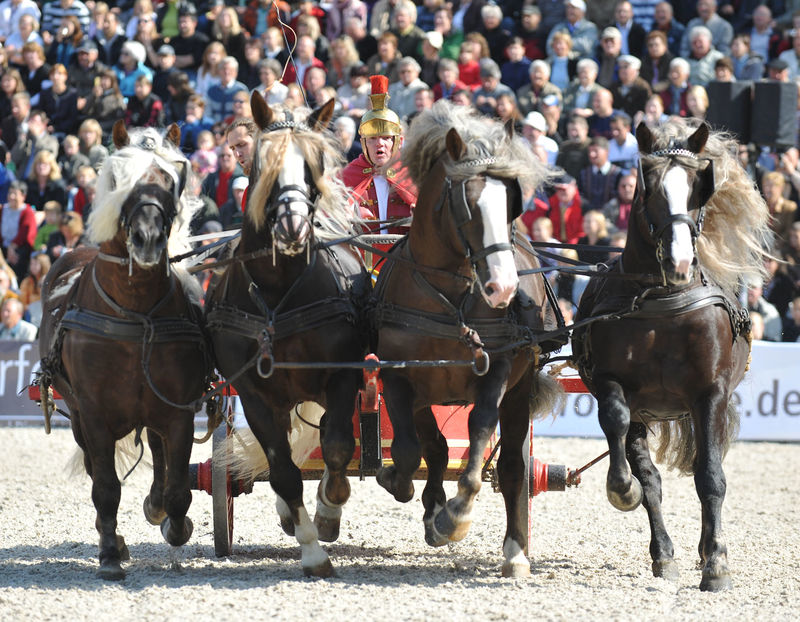 Marbacher Hengstparade