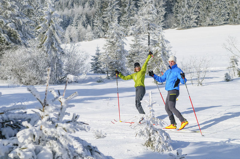 Langlaufgebiet Ferienregion Grafenau