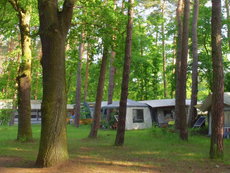 Campingverein Möllensee Nord, Foto: Gemeinde Grünheide