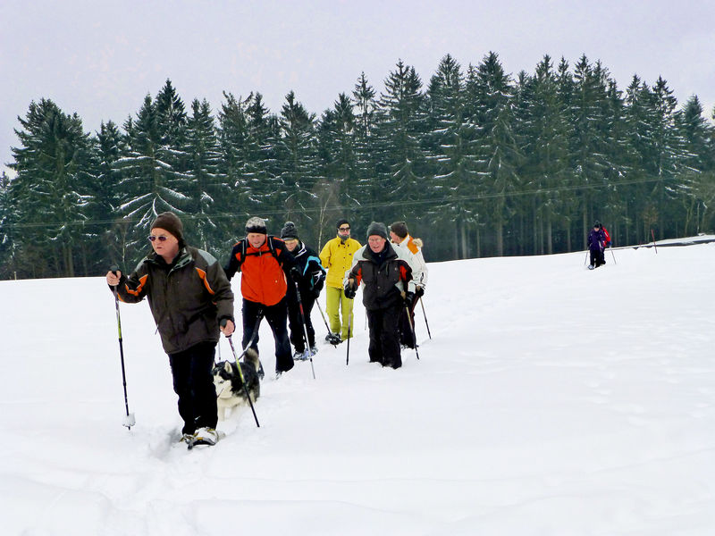 Schneeschuhwandern in Haibach