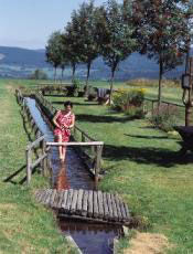 Kneipptretbecken Bischofsreut