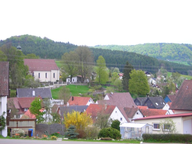 Blick Auf Hausen Am Tann Streuobstparadies