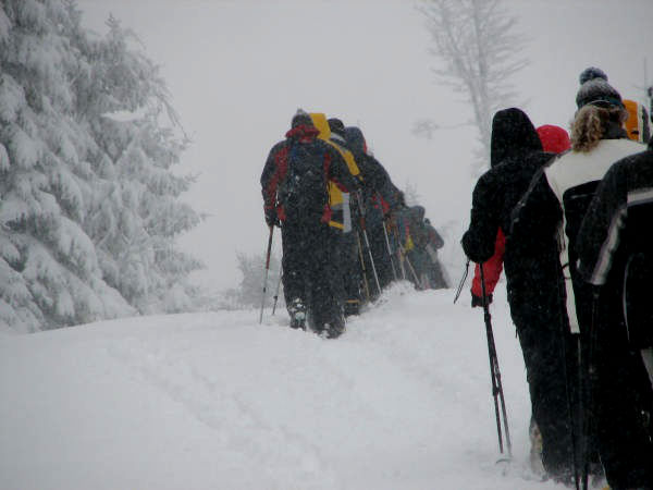 Schneeschuhwandern auf den Dreisessel