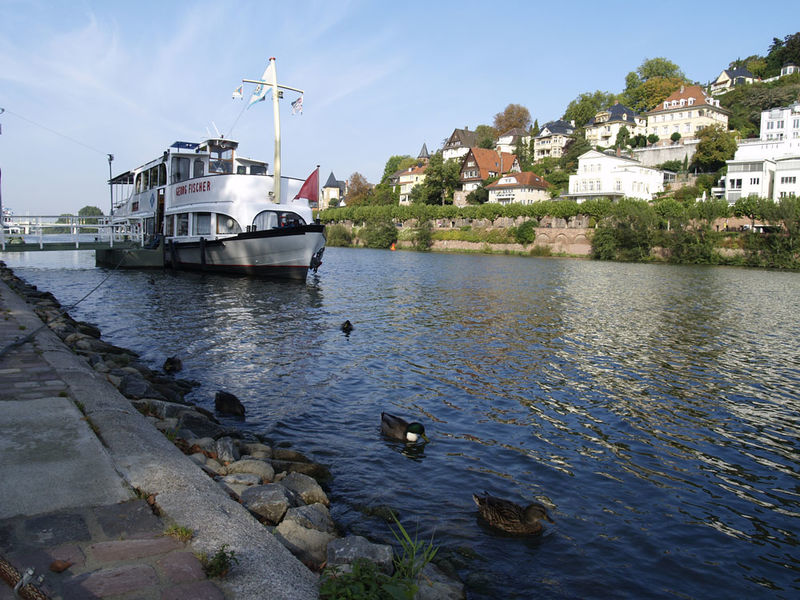 Neckar