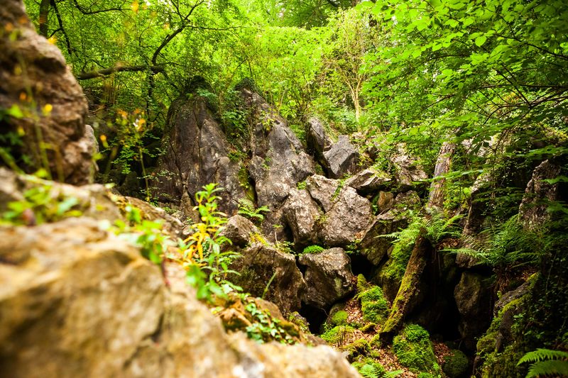 Naturpark-Infozentrum Hemer | Sauerland