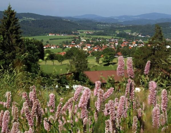 Hinterschmiding im Bayerischen Wald