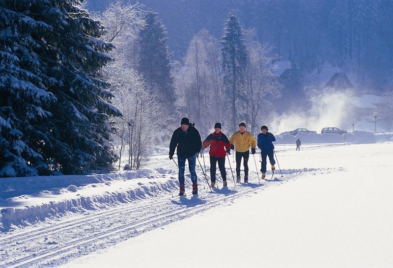 Fernskiwanderweg 100 km