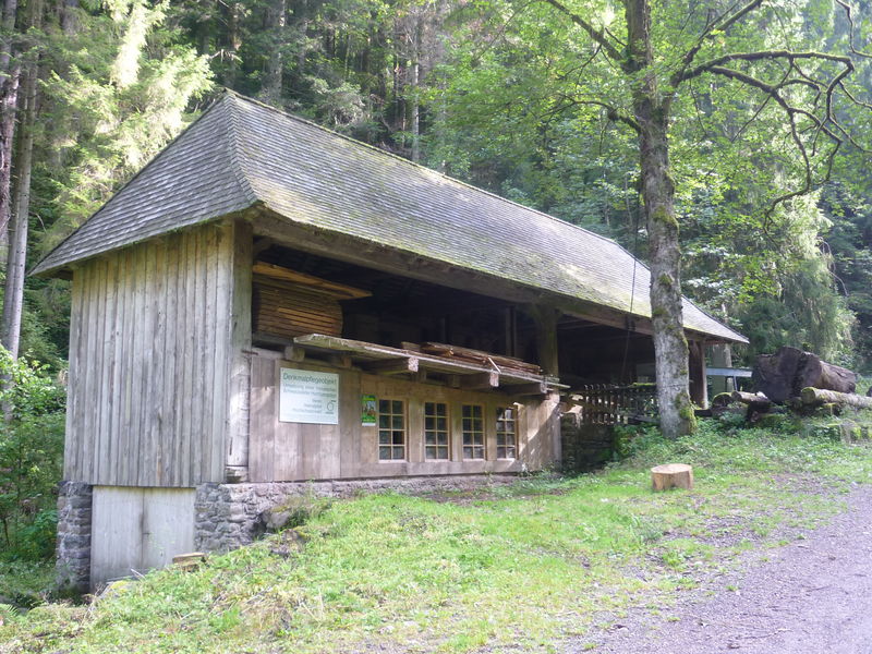 Hochgangsäge