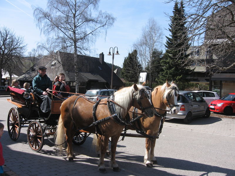 Pferdekutsche