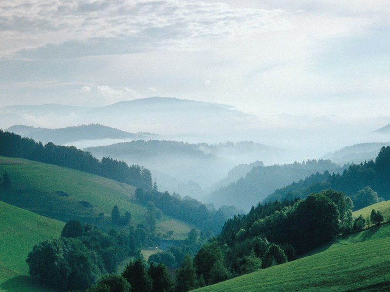 Von Hinterzarten zum Feldberg