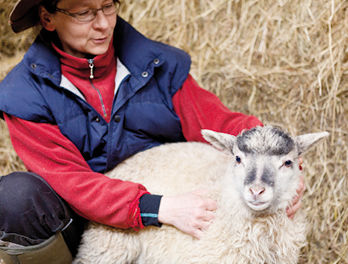 Naturschutzschäferei Katrin Todt in Hohenjesar bei Zeschdorf, Foto: Julia Otto