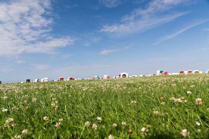 Hundestrand in Horumersiel