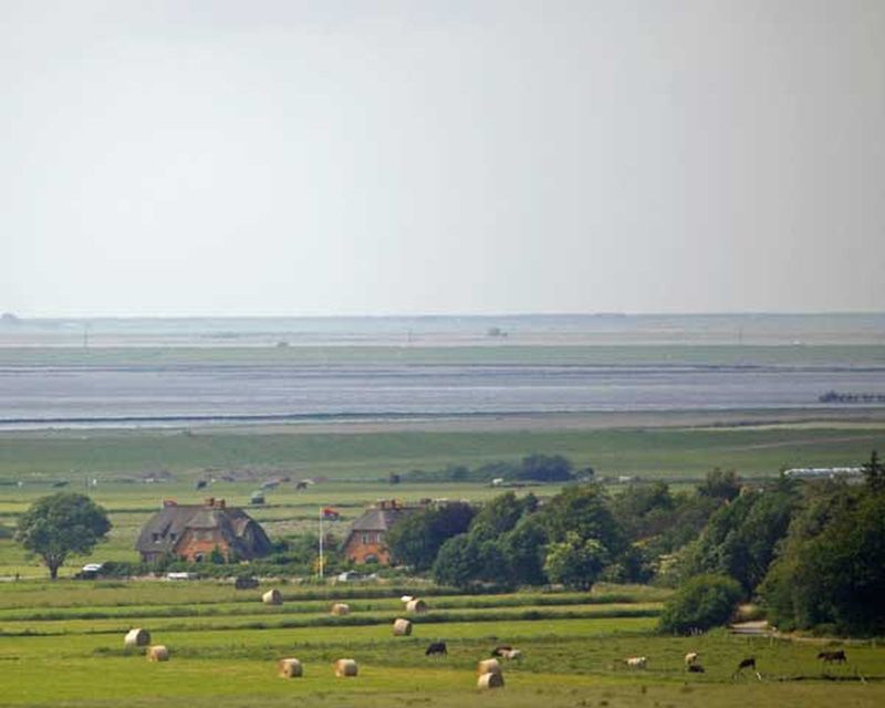 Blick auf die Husumer Bucht vom Schobüller Berg
