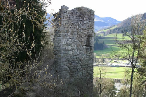 Burgruine Grüneck