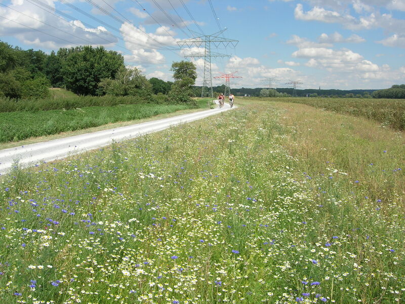 Radfahren