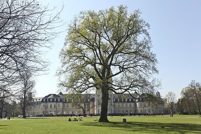 Schlossgarten Karlsruhe Erleben