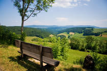 Schwarzwald