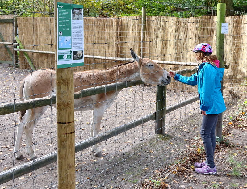 Tierpark Oberwald Karlsruhe Erleben