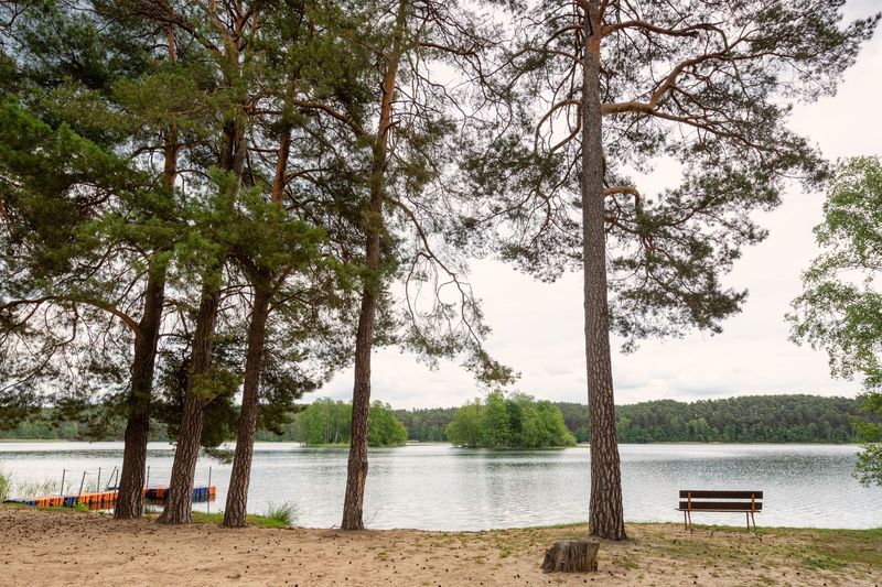 Badestelle am Grubensee / Tiefer See, Foto: Seenland Oder-Spree / Florian Läufer