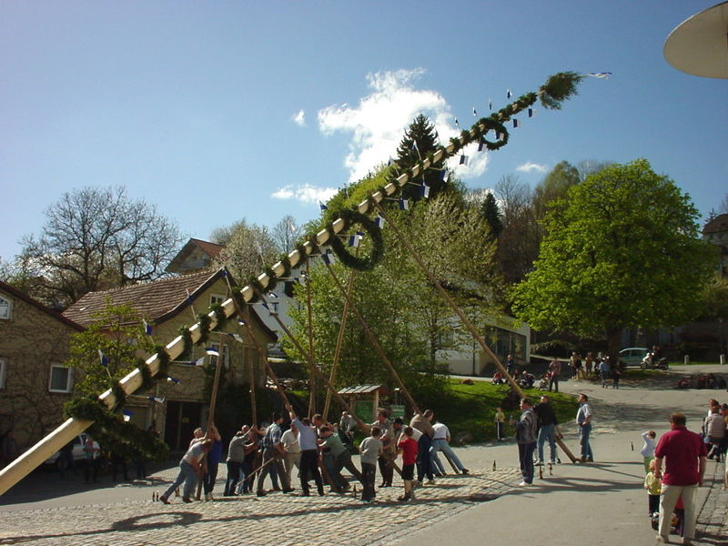 Maibaumaufstellen in Kirchberg im Wald Tourismusverband