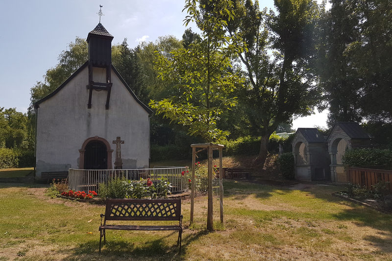 Kneipp-Anlage Bliesransbach | Tourismus Zentrale Saarland Kneipp-Anlage Bliesransbach | Tourismus Zentrale Saarland