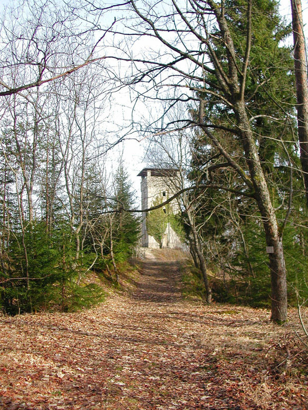 Gansnestturm bei Kolbingen