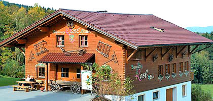 Blick auf die Bärwurz-Resl-Hüttn bei Kollnburg im Bayerischen Wald