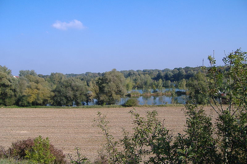 Donauried
