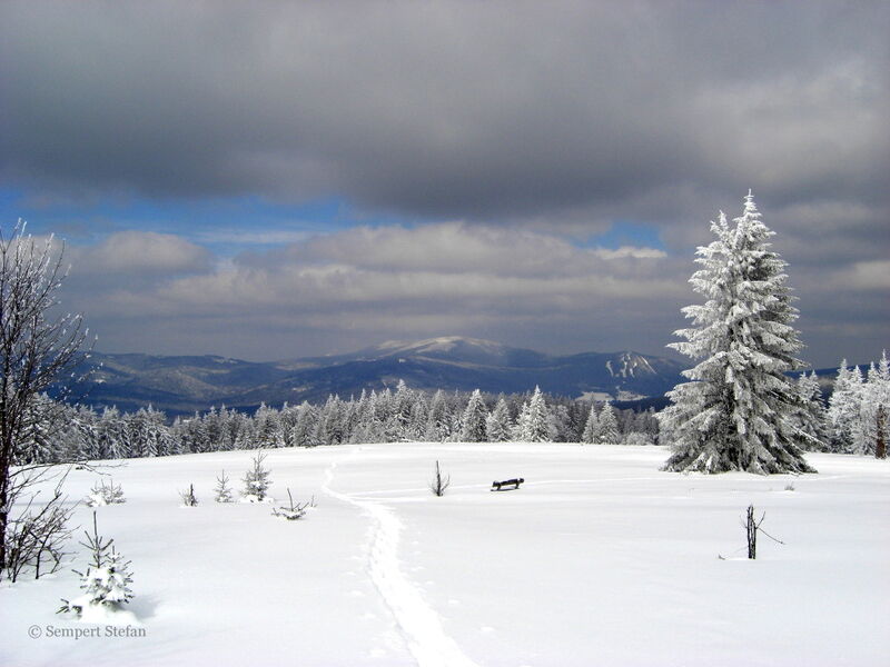 Wintertraum auf dem Ruckowitzschachten in der Gemeinde Lindberg im Nationalpark Bayerischer Wald