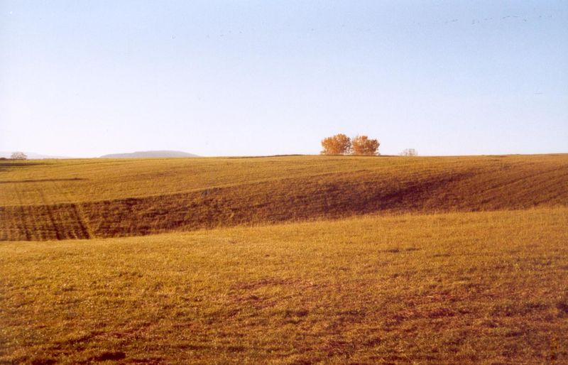 Doline in Göschweiler