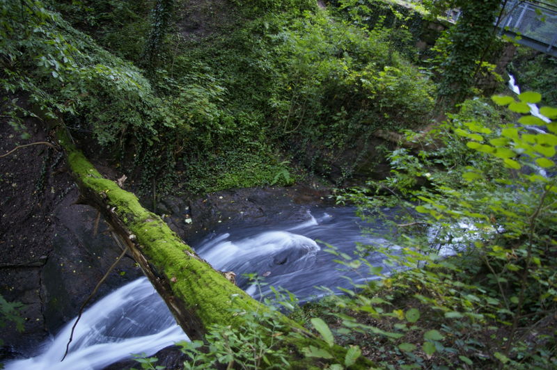 Laufbachwasserfälle bei Loffenau