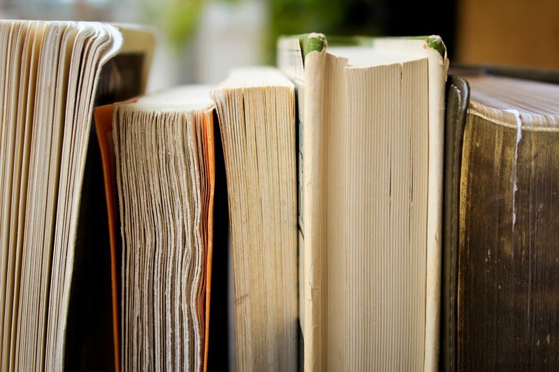 Bücher Bender
