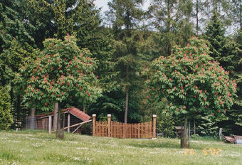 Arboretum Essenthoer Muhle Sauerland