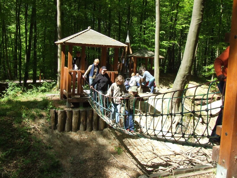 NaturerlebnisWald in Marsberg Meerhof Sauerland
