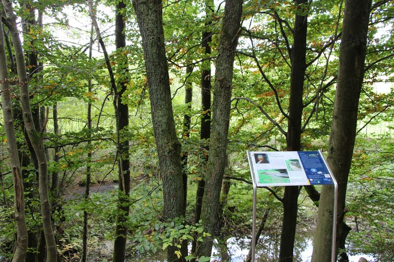 Gewässerpfad Orke in Medelon