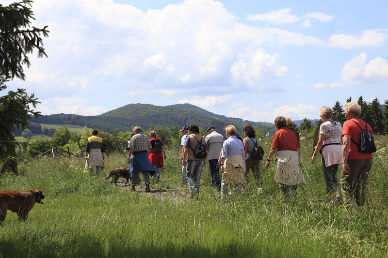 Geführte Wanderungen