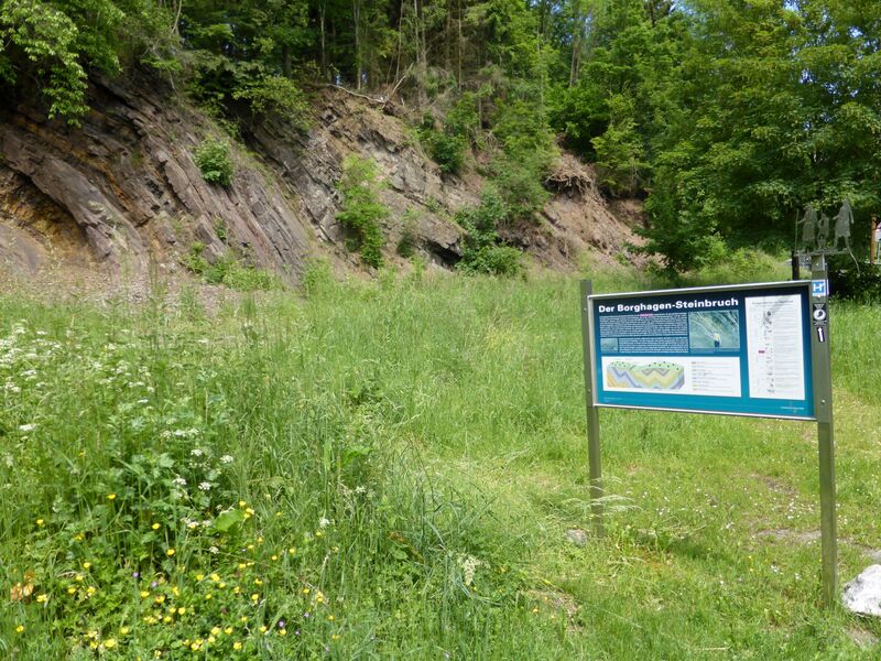 Steinbruch Borghagen