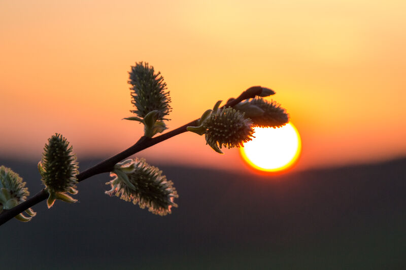 ... Sonnenuntergangsstimmung im Märkischen Sauerland...