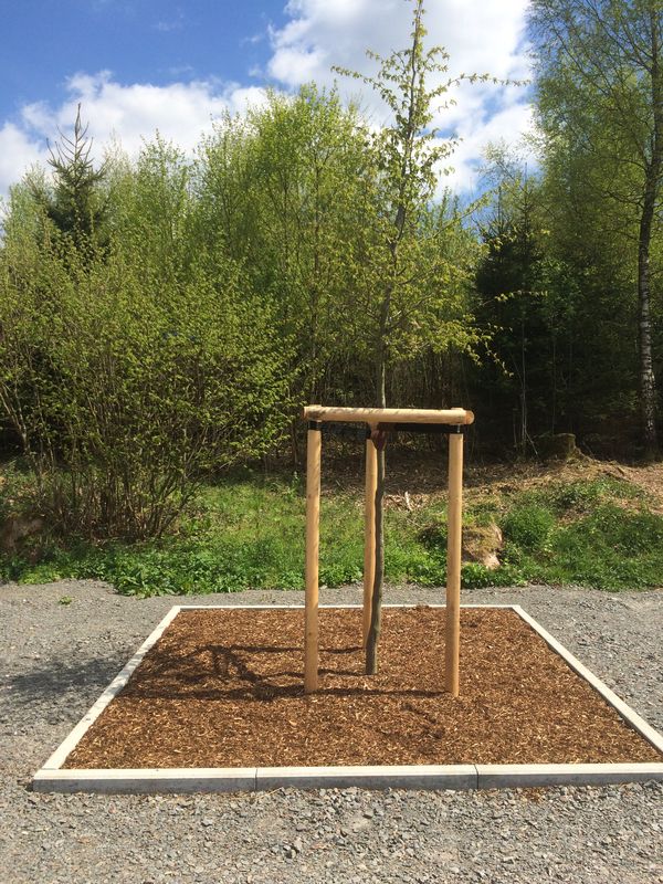 Wanderparkplatz Heed | Sauerland