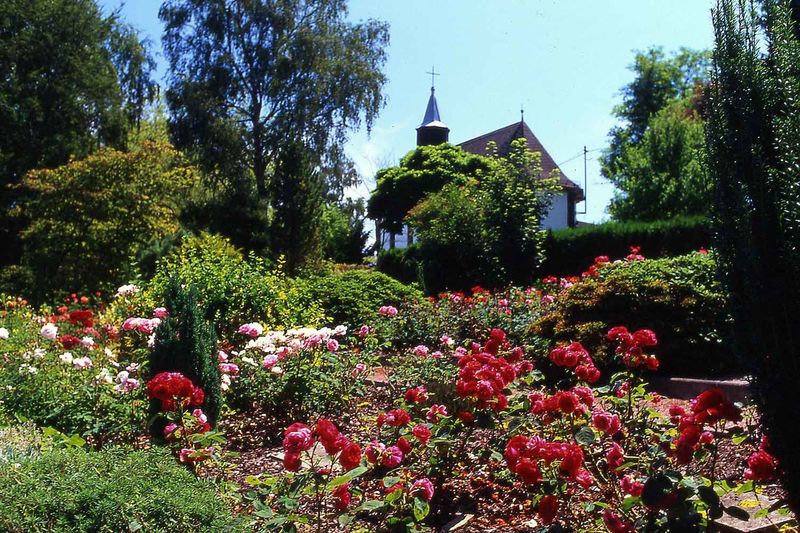 Rosengarten Merchweiler