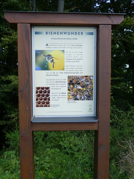 Attraktionen Sauerland