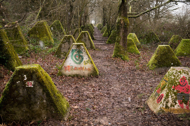 Höckerline-Westwall