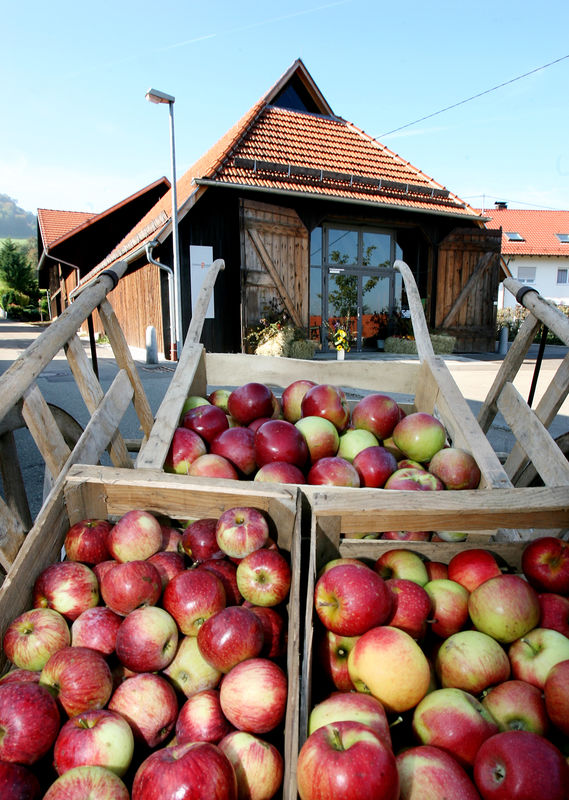 Obstbaumuseum in Metzingen-Glems