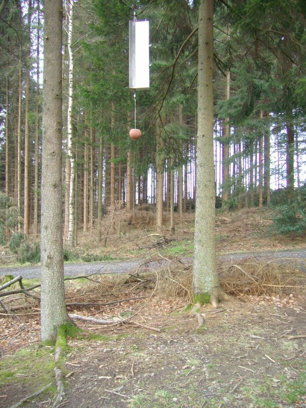 Klangwald Möhnesee Klangwald Möhnesee