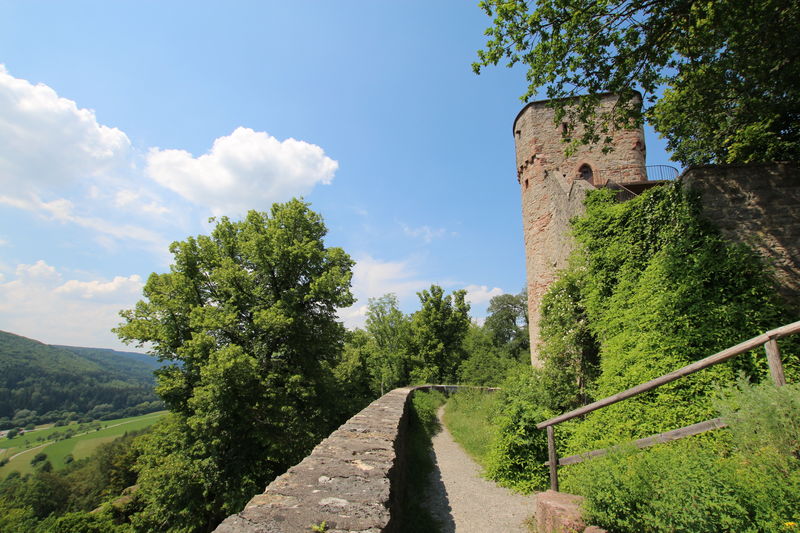 Nagold Burgruine Hohennagold Urlaubsland Baden Wurttemberg