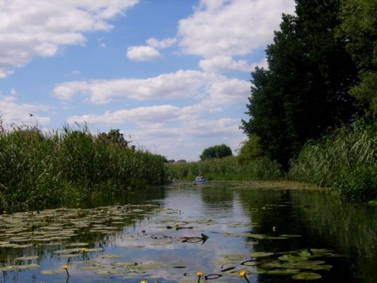 Alte Oder, Foto: TV-SOS/Jautze