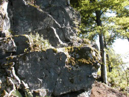 Pfahlfelsen bei Neureichenau