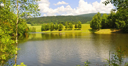 Blick auf den Stausee Riedelsbach bei Neureichenau im Bayerischen Wald