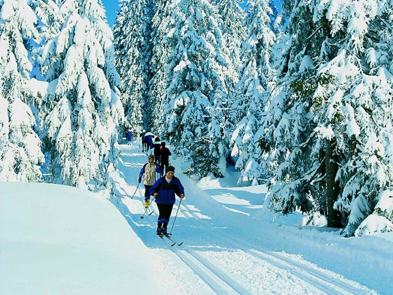 Wintererlebnis beim Skiwandern im Nationalpark Bayerischer Wald
